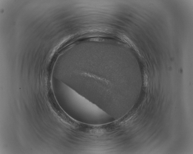 X0000068890444200605122038