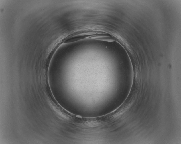 X0000068890445200605122038