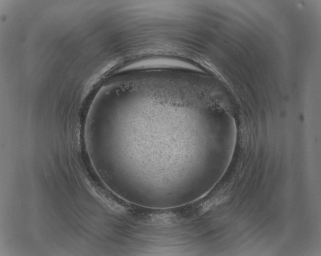 X0000068890446200605122038