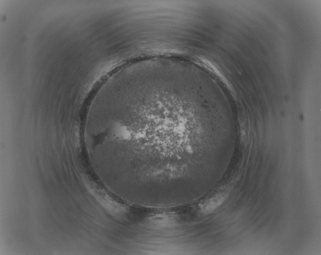 X0000068890447200605122038