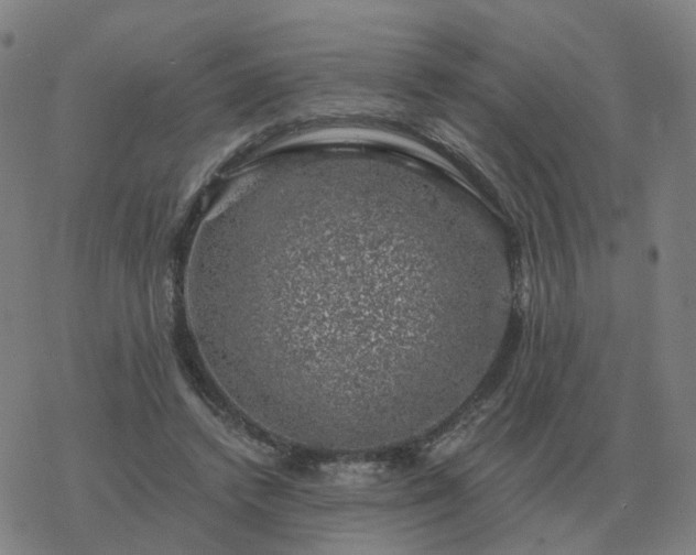 X0000068890448200605122038