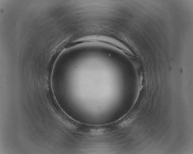 X0000068890450200605122038