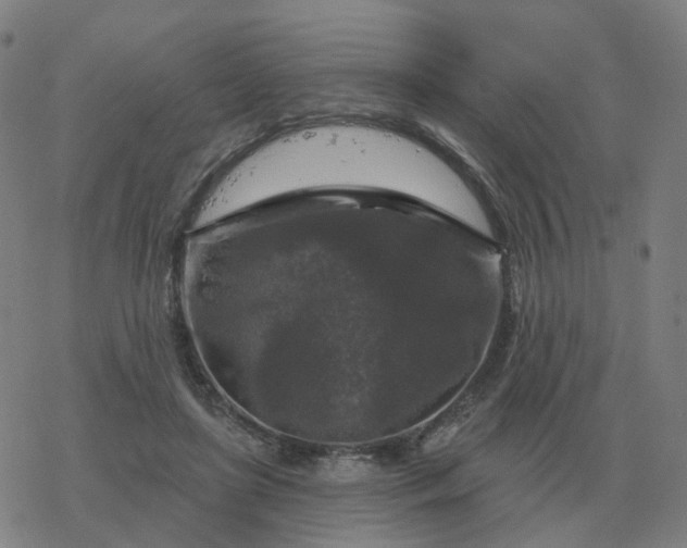 X0000068890451200605122038