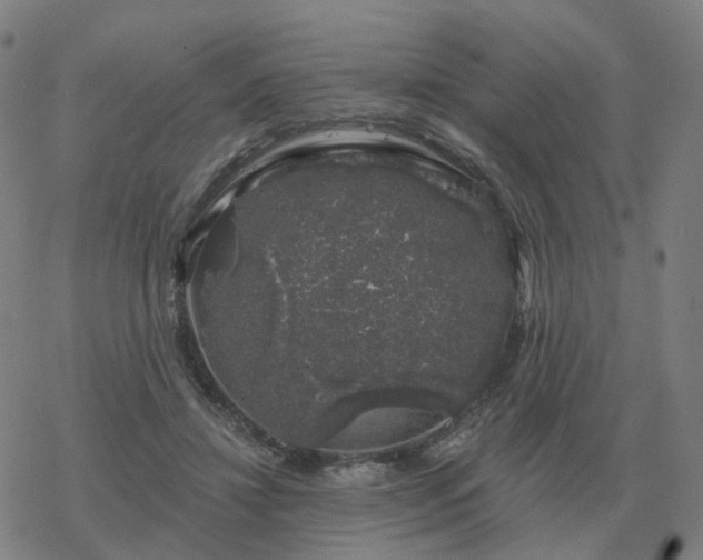 X0000068890452200605122038