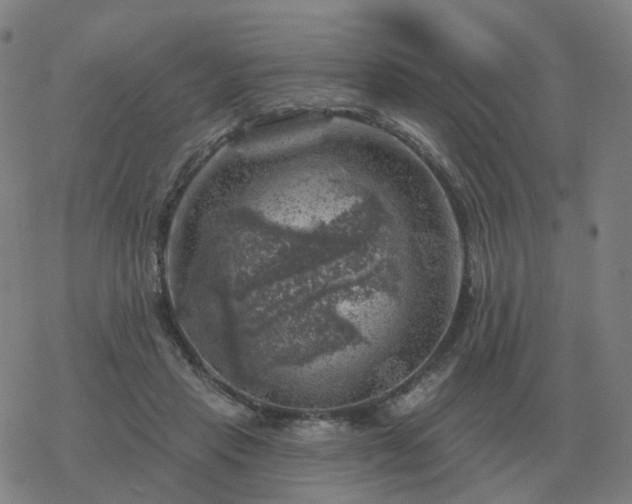 X0000068890453200605122038