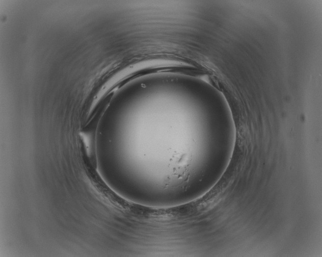 X0000068890454200605122038