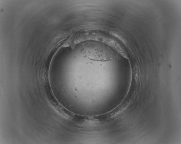 X0000068890455200605122038