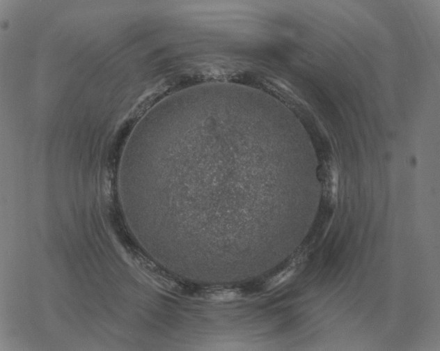 X0000068890456200605122038