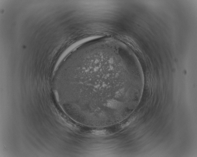 X0000068890457200605122038