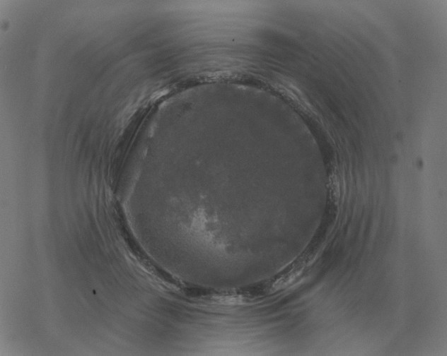 X0000068890458200605122038