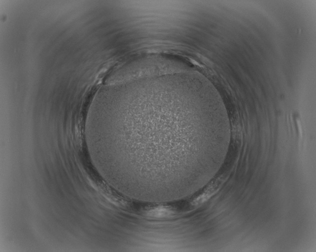 X0000068890460200605122038