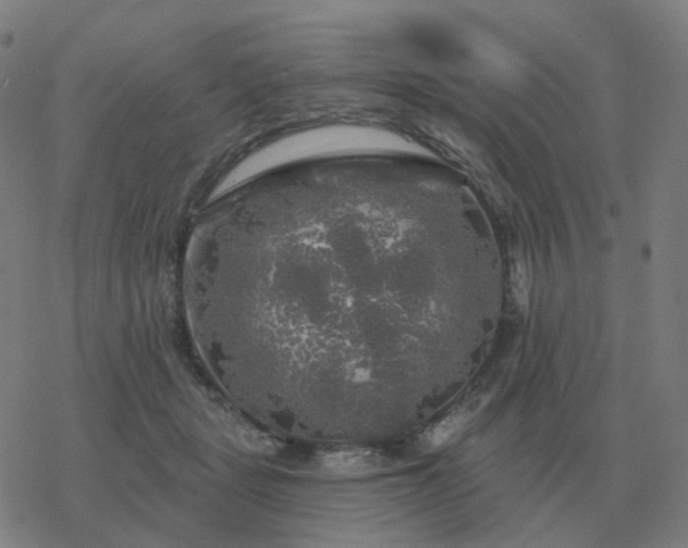 X0000068890461200605122038