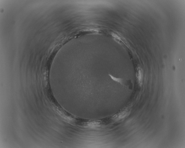 X0000068890462200605122038