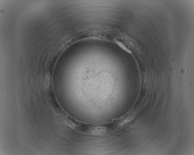 X0000068890463200605122038