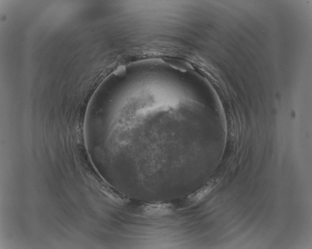 X0000068890465200605122038