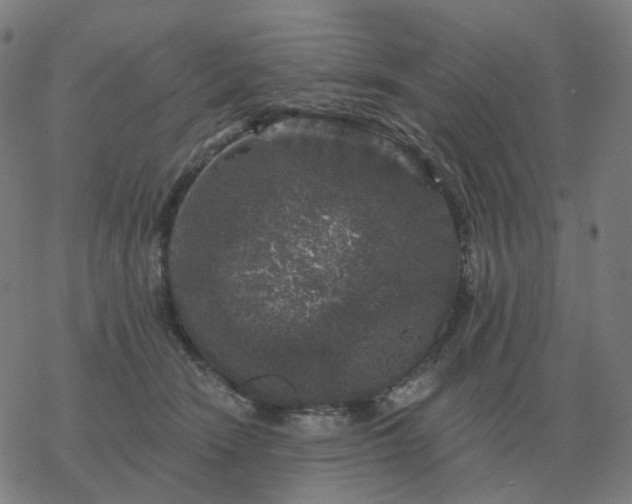 X0000068890466200605122038