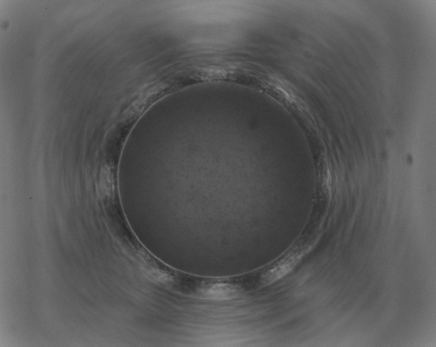 X0000068890467200605122038