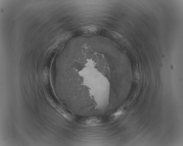 X0000068890468200605122038