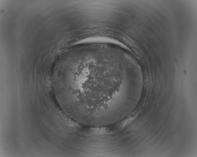 X0000068890469200605122038