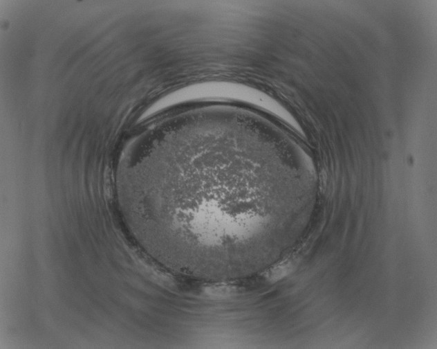 X0000068890470200605122038