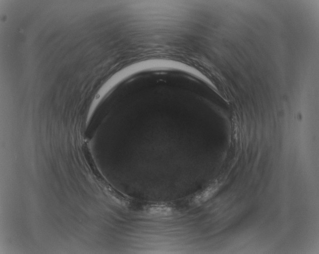 X0000068890471200605122038