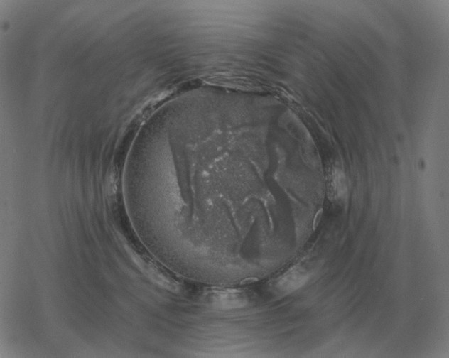 X0000068890472200605122038