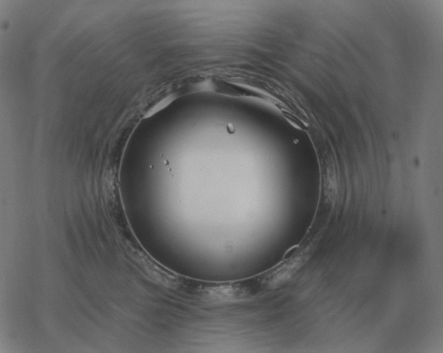 X0000068890473200605122038