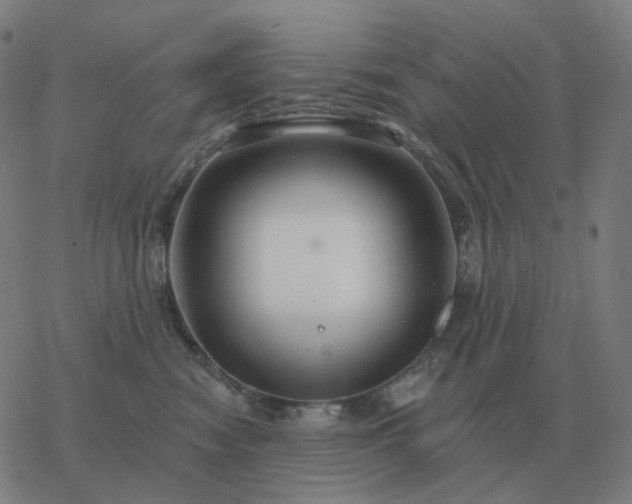 X0000068890474200605122038