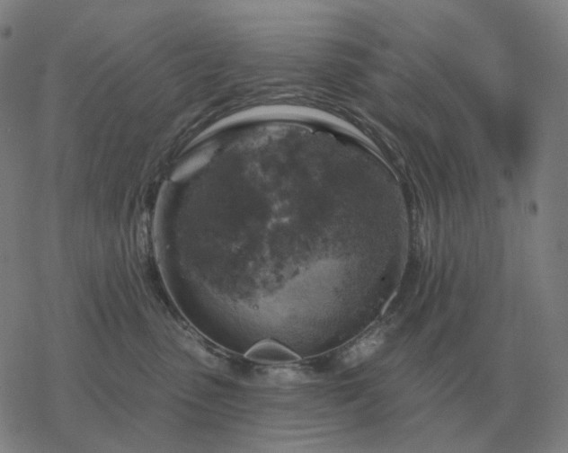 X0000068890475200605122038