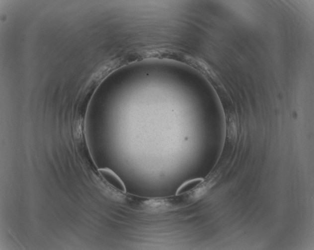 X0000068890477200605122038