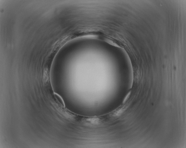 X0000068890478200605122038