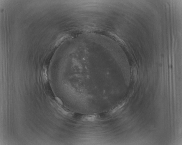 X0000068890479200605122038