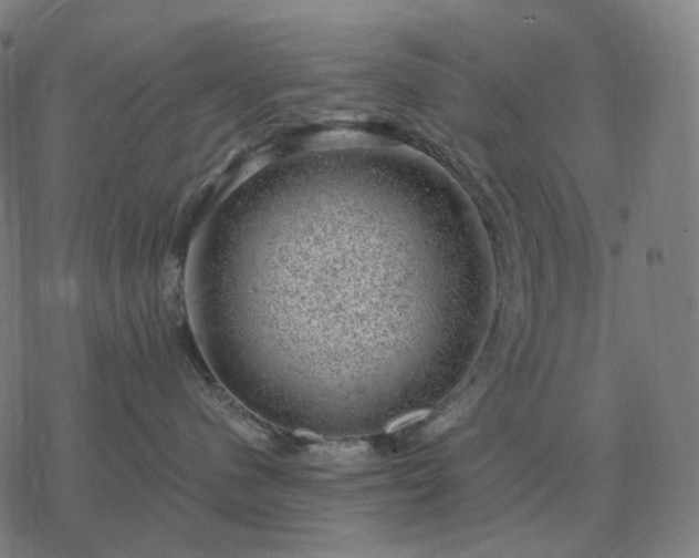 X0000068890480200605122039