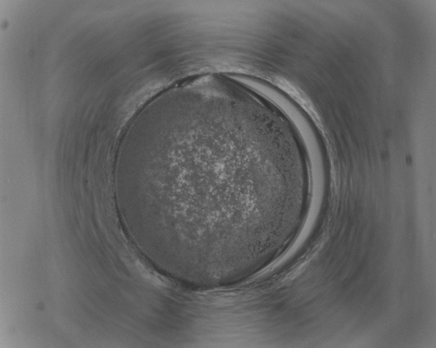 X0000068890481200605122038