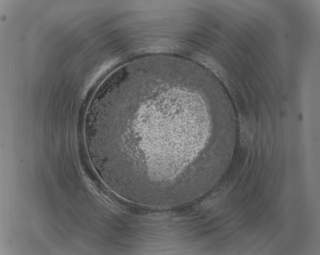 X0000068890482200605122038