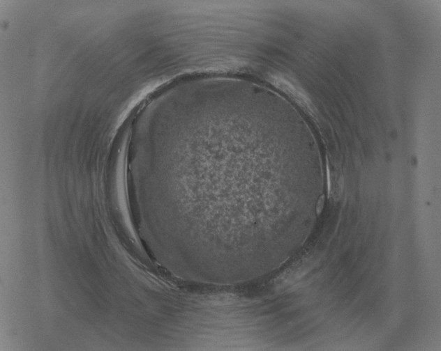 X0000068890483200605122038