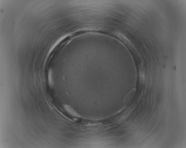 X0000068890484200605122038