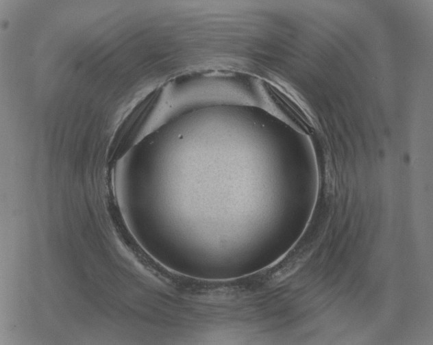 X0000068890485200605122038