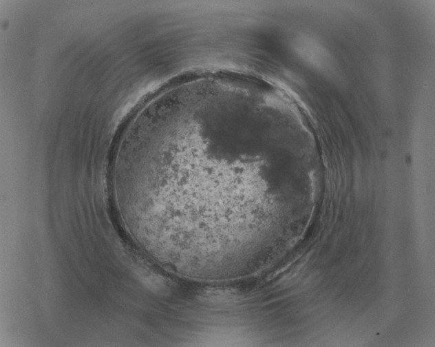 X0000068890487200605122038