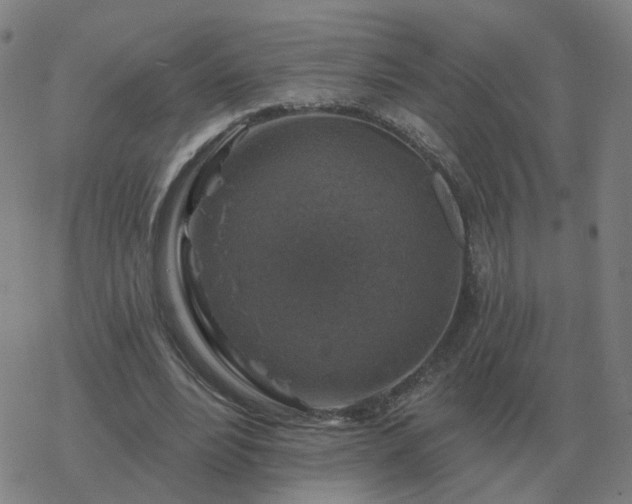 X0000068890488200605122038