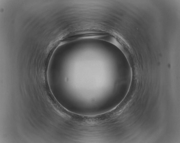 X0000068890489200605122038