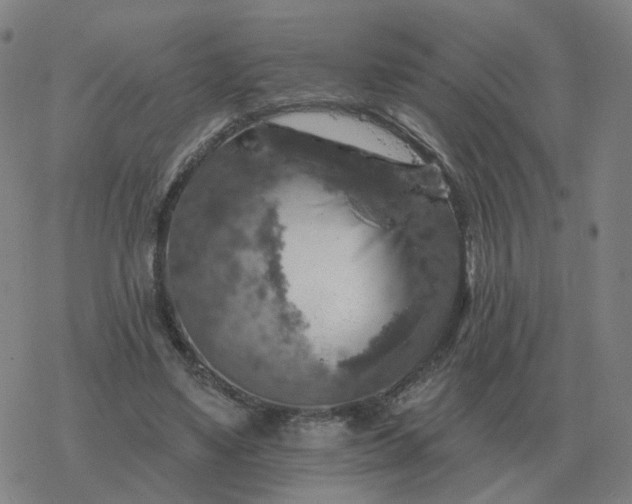 X0000068890491200605122038