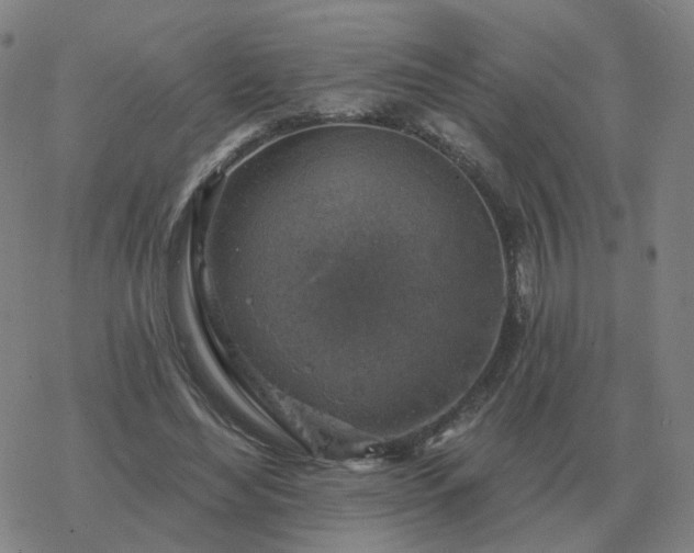 X0000068890492200605122038