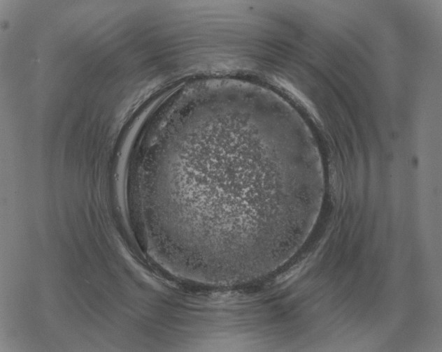 X0000068890493200605122038