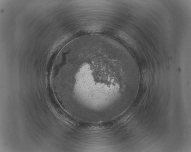 X0000068890494200605122038