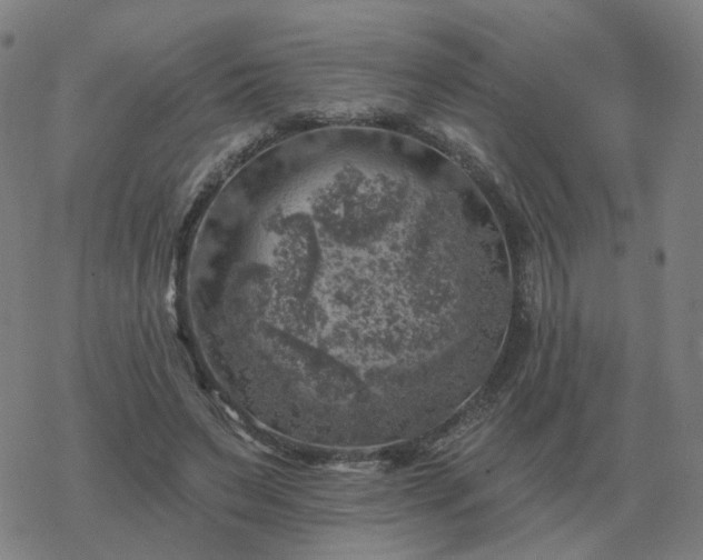 X0000068890495200605122038