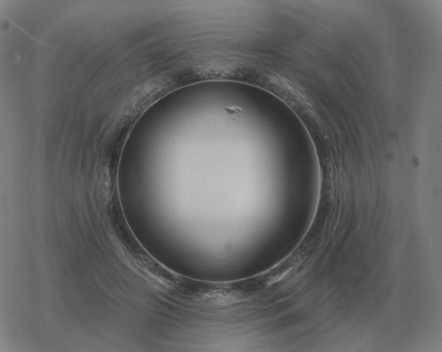 X0000068890498200605122037