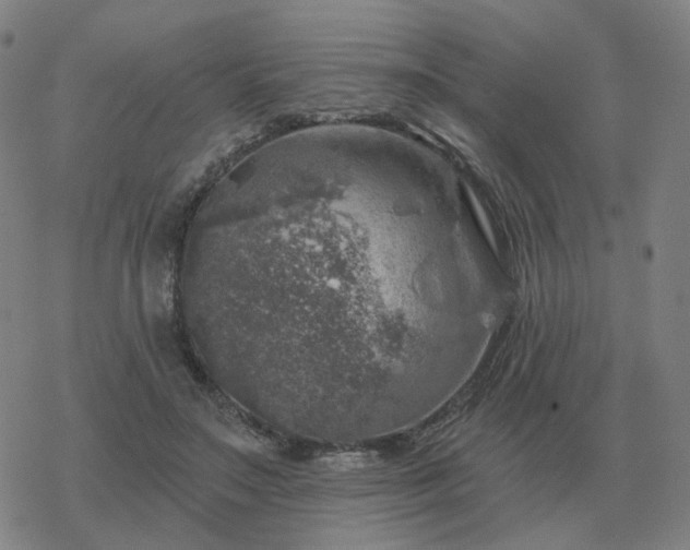 X0000068890499200605122037