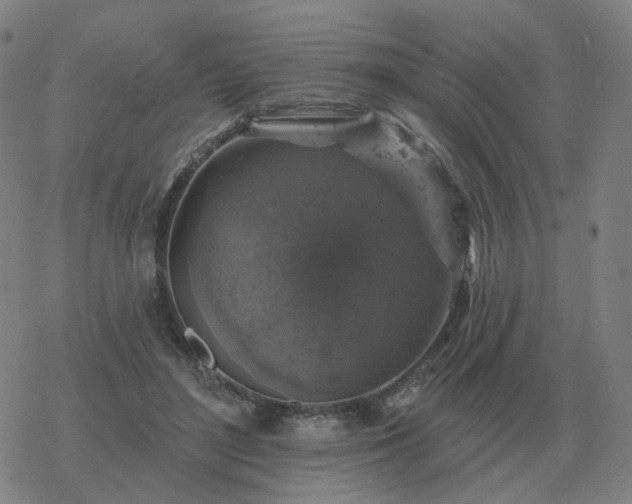 X0000068890500200605122037