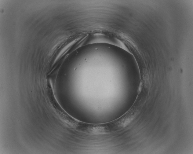 X0000068890501200605122037